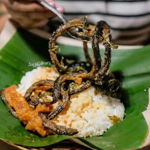 Nasi Belut