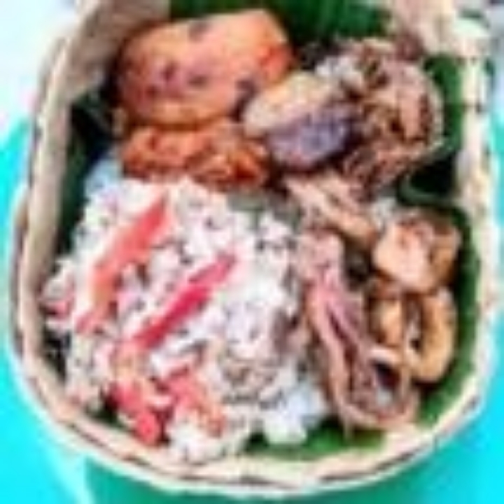 Nasi Besek Megono