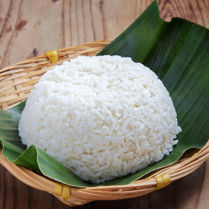 Nasi Biasa