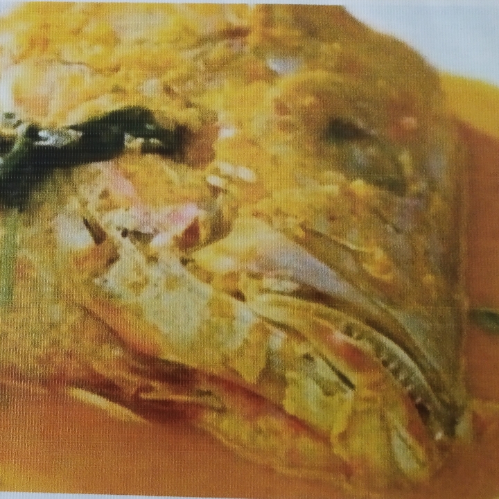 Nasi Gulai Ikan