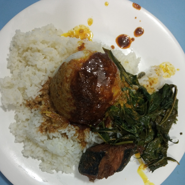 Nasi Ikan