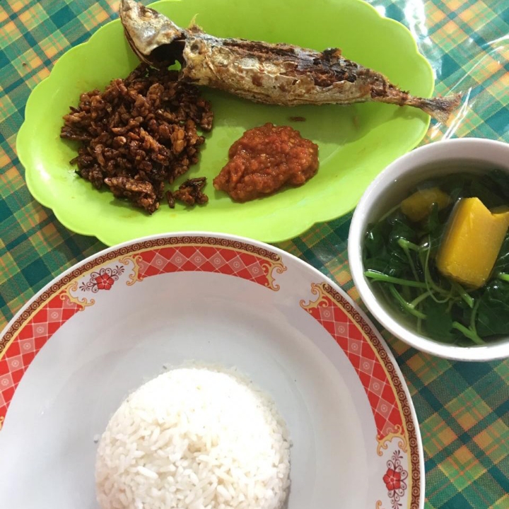 Nasi Ikan