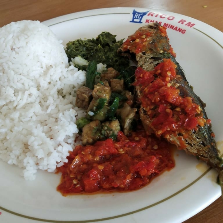 Nasi Ikan Dencis Goreng