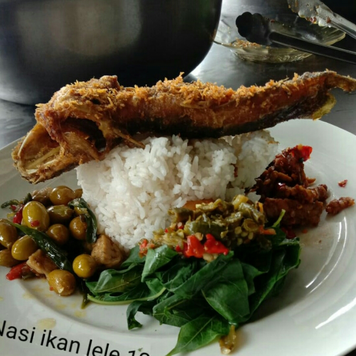 Nasi Ikan Lele