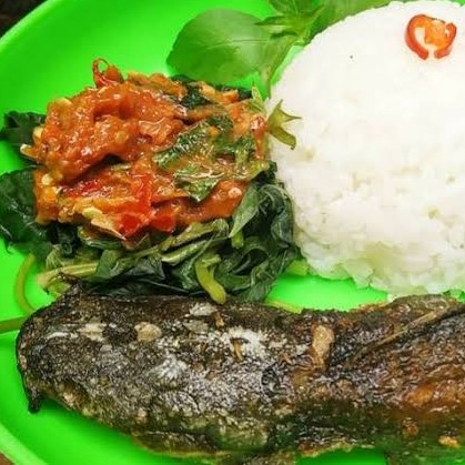 Nasi Ikan Lele