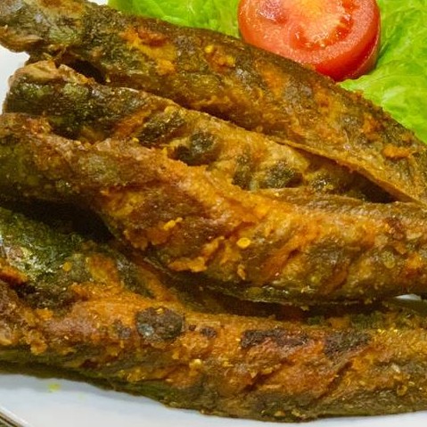 Nasi Ikan Lele Bakar