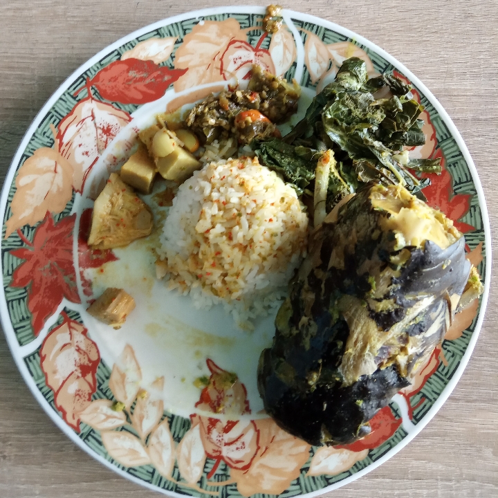 Nasi Ikan Patin