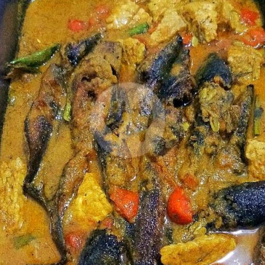 Nasi Kare Lele Pedas