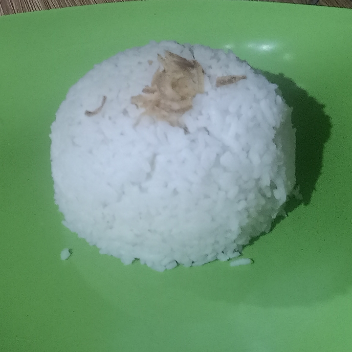 Nasi Kosong