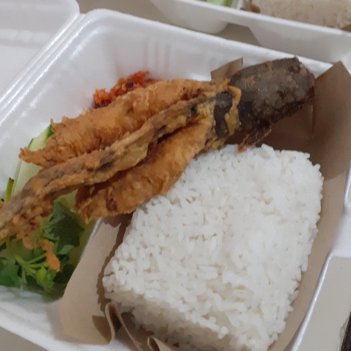 Nasi Lele