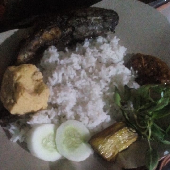 Nasi Lele