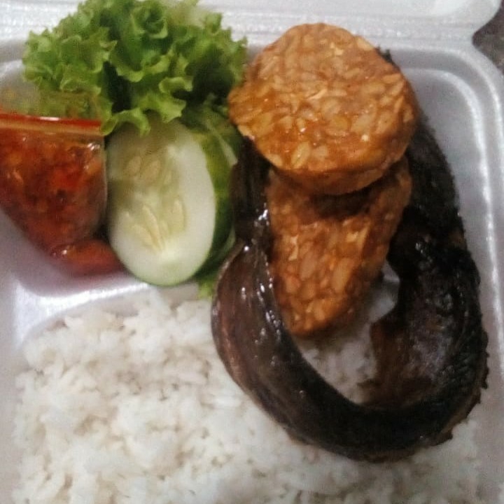 Nasi Lele