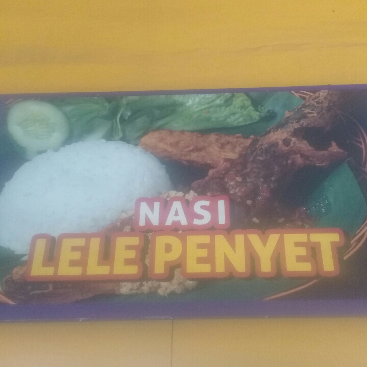 Nasi Lele Penyet