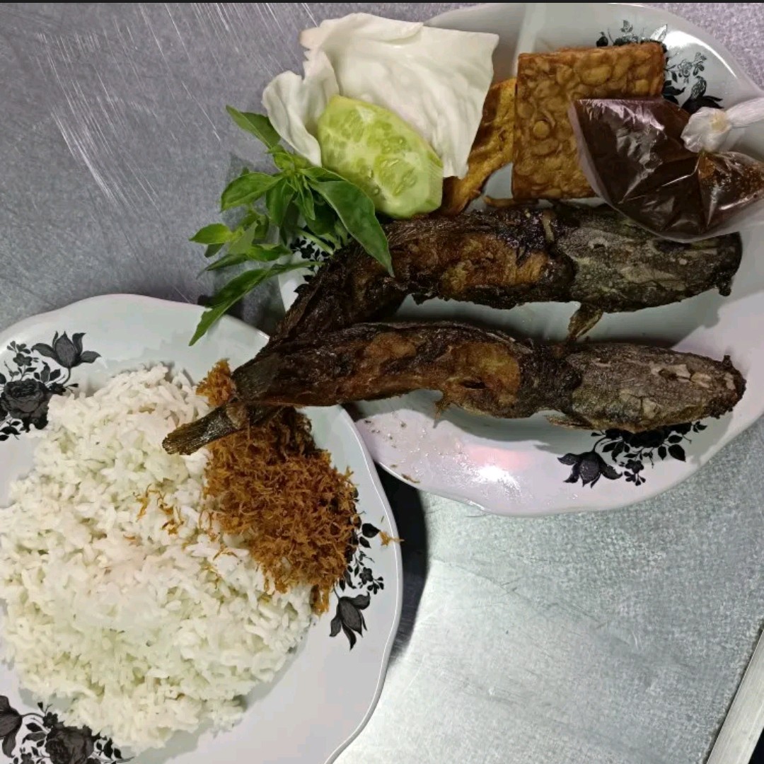 Nasi Lele Spesial