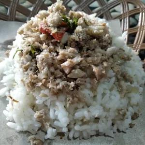 Nasi Megono