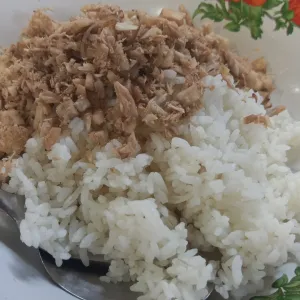 Nasi Megono