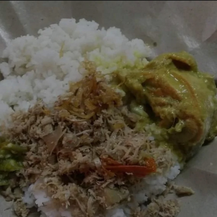 Nasi Megono Opor Ayam