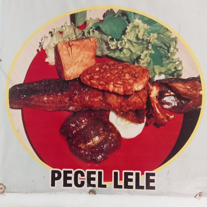 Nasi Pecel Lele