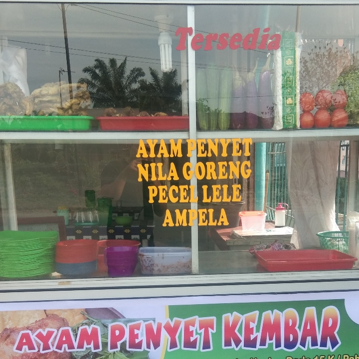 Nasi Pecel Lele