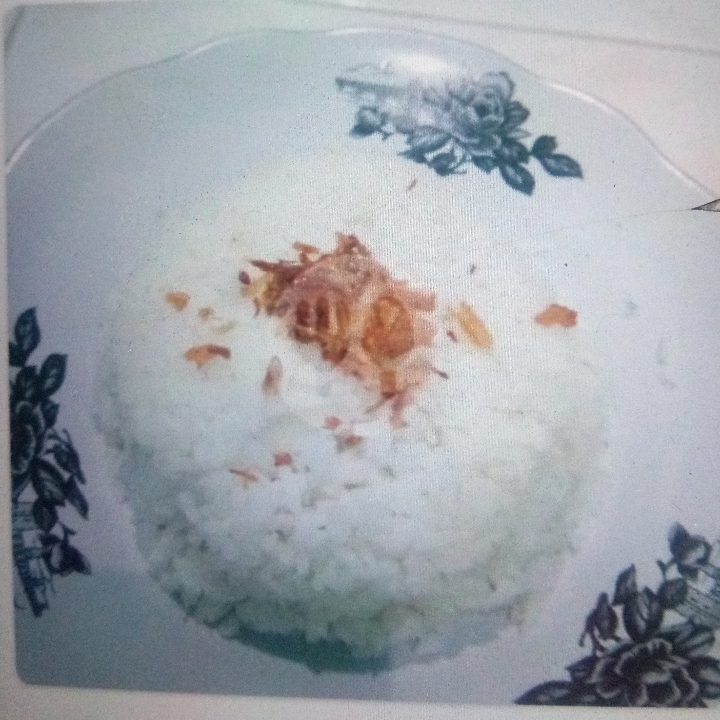 Nasi Putih