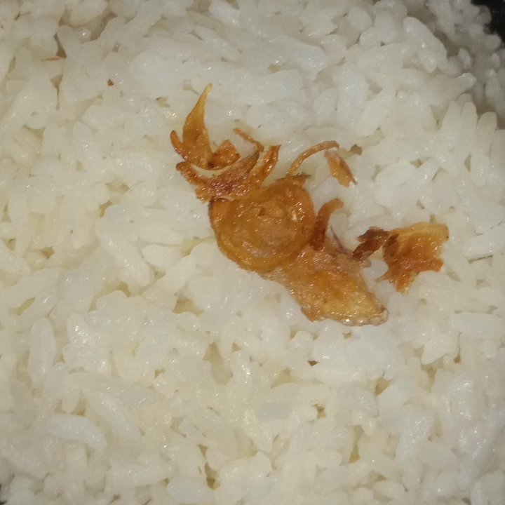 Nasi Putih