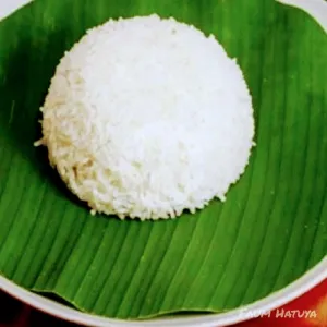 Nasi Putih