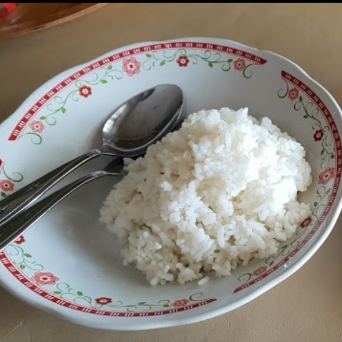 Nasi Putih