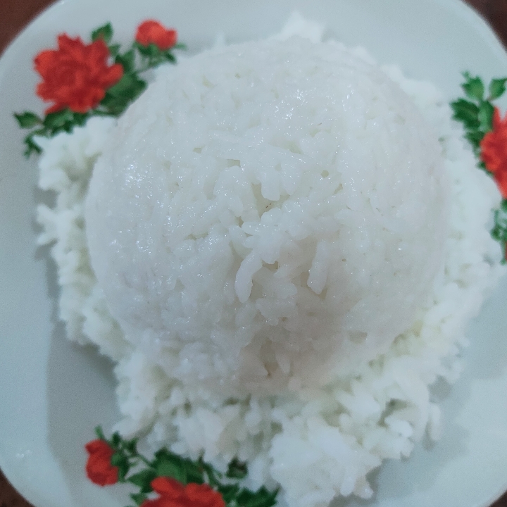 Nasi Putih