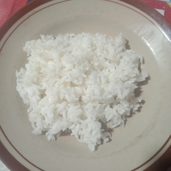 Nasi Putih