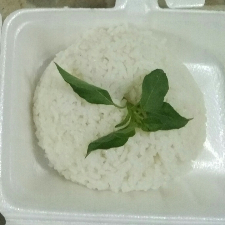 Nasi Putih