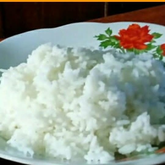 Nasi Putih