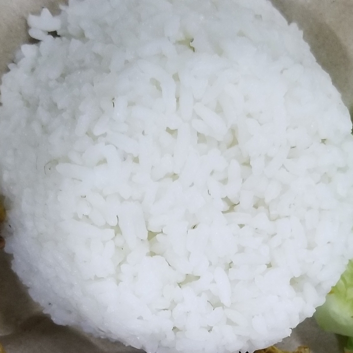 Nasi Putih