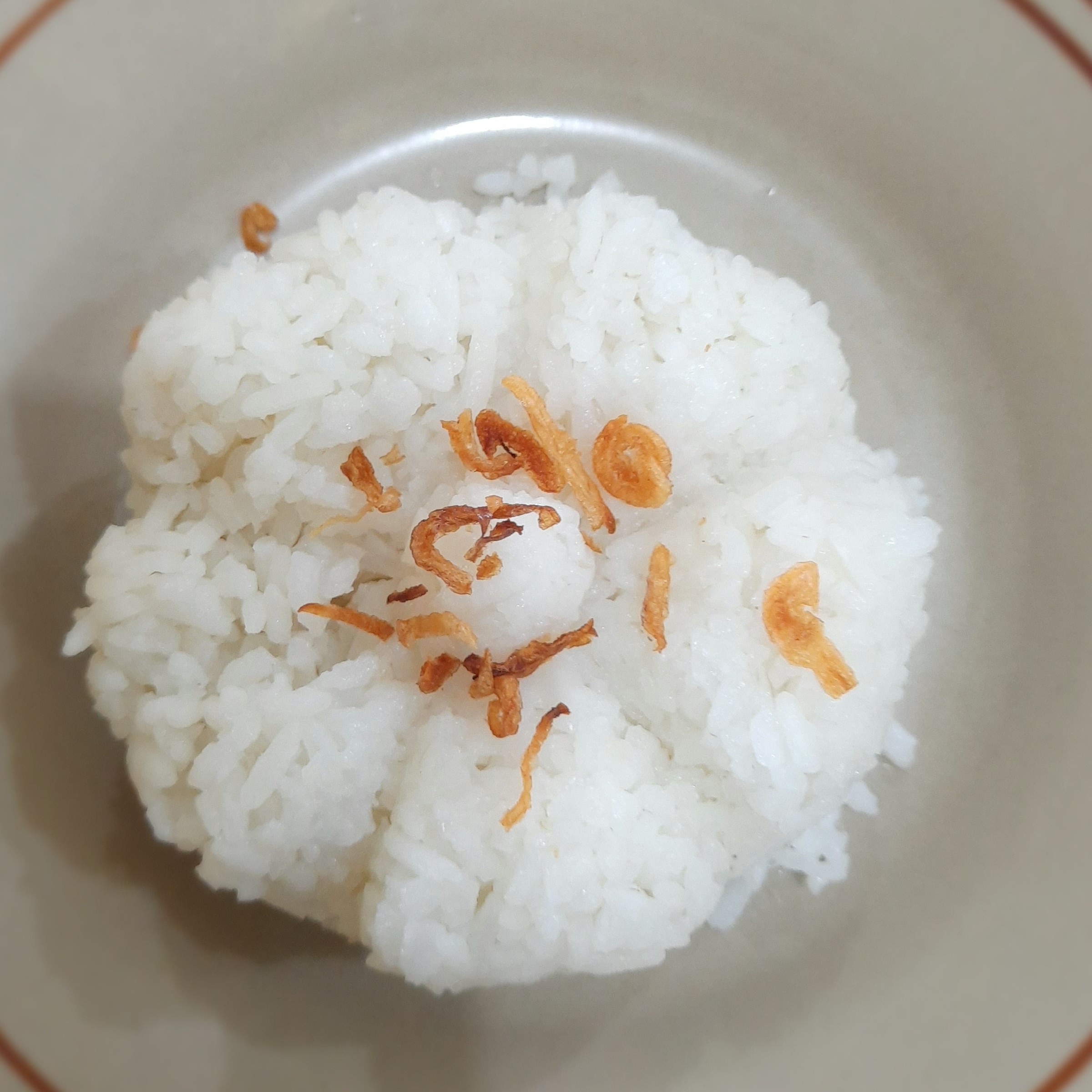 Nasi Putih