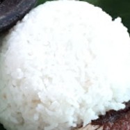 Nasi Putih