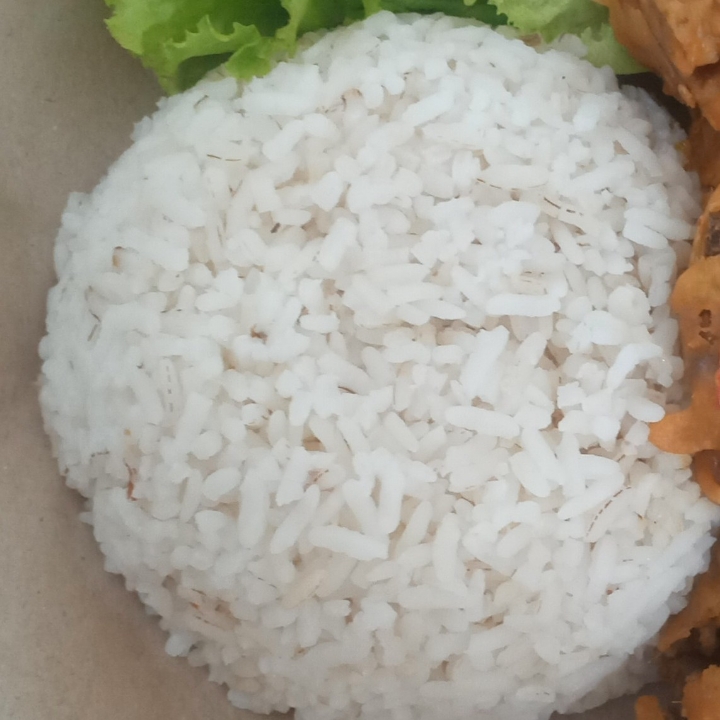 Nasi Putih