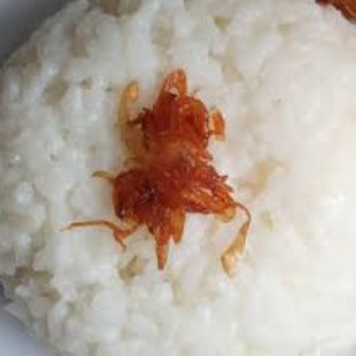 Nasi Putih