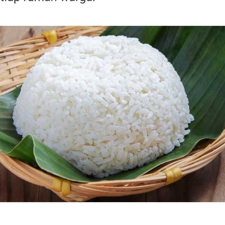 Nasi Putih