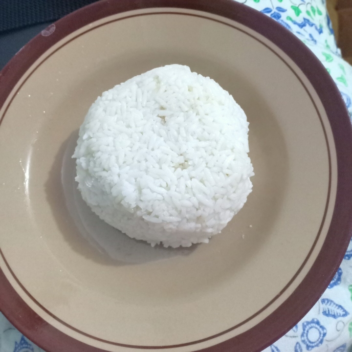 Nasi Putih