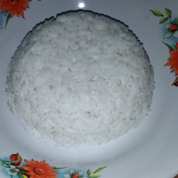 Nasi Putih