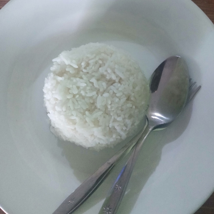 Nasi Putih