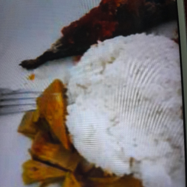 Nasi Putih Ikan