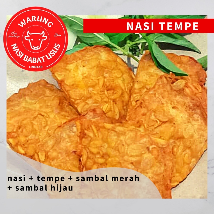 Nasi Tempe