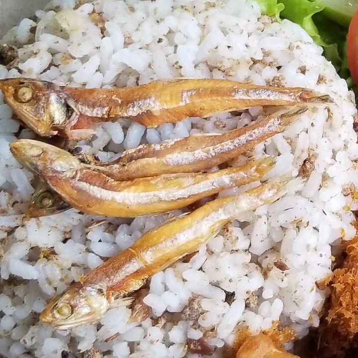 Nasi To Biasa