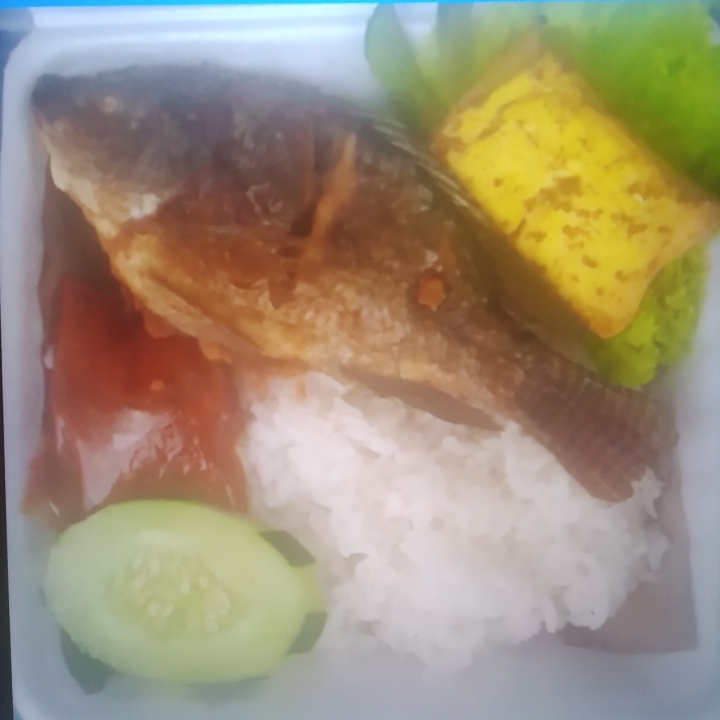 Nasi Uduk Putih Mujaer