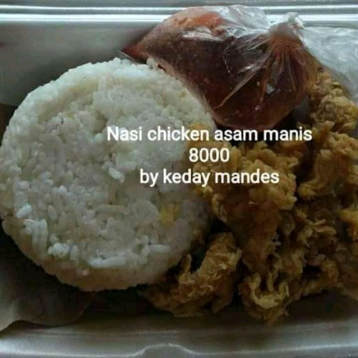 Nasi chicken