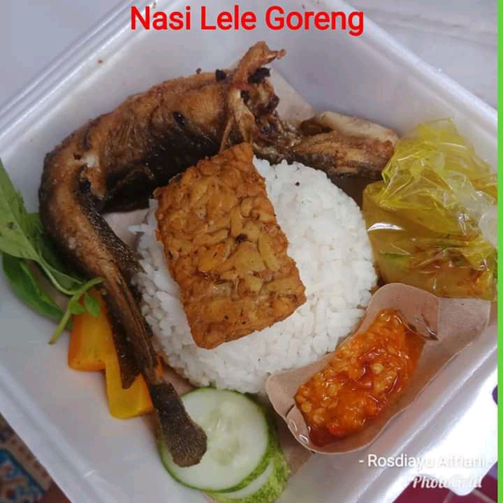 Nasi lele goreng atau bakar