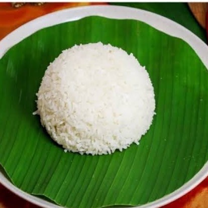 Nasi putih