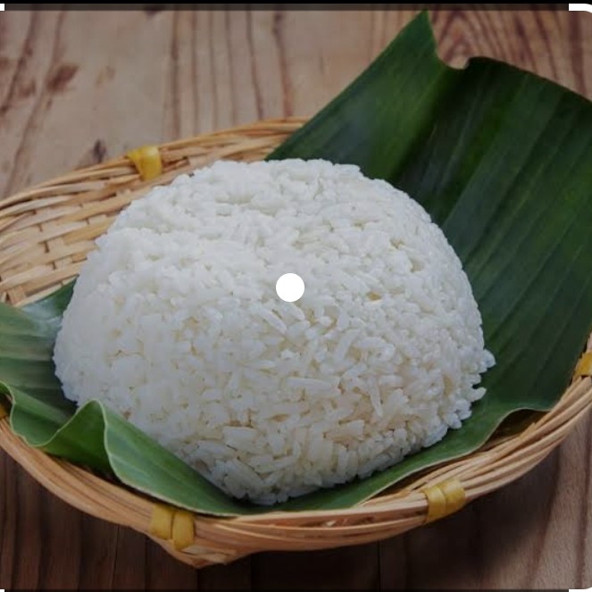 Nasi putih