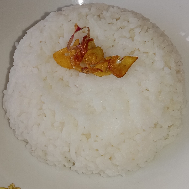 Nasi putih