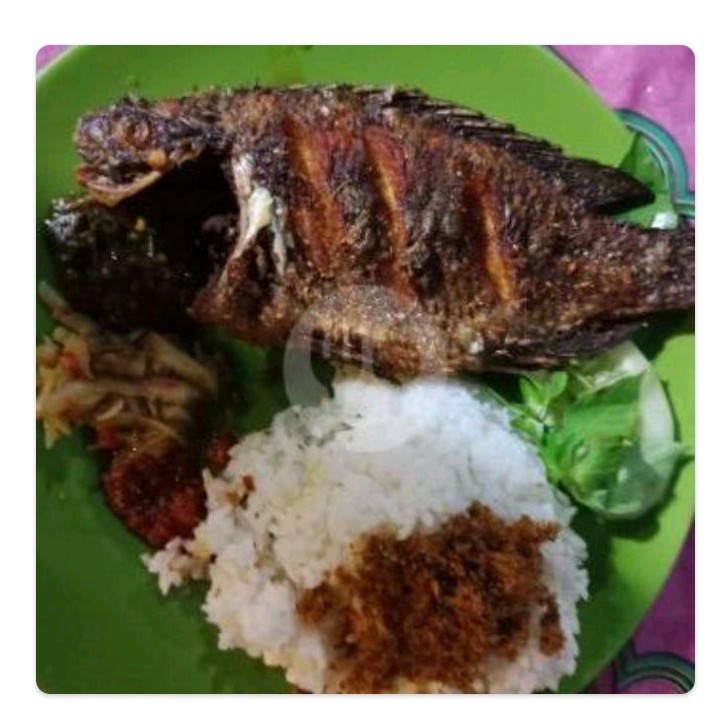 Nila Goreng Plus Nasi